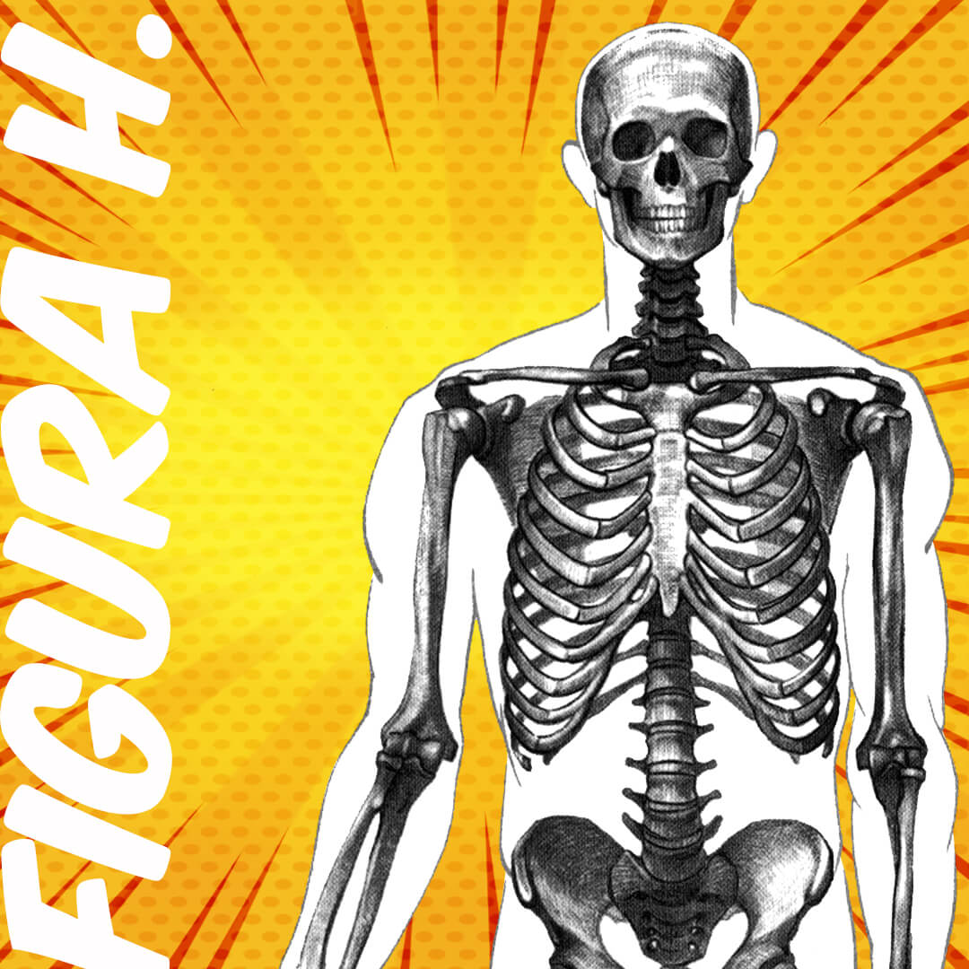 figura humana